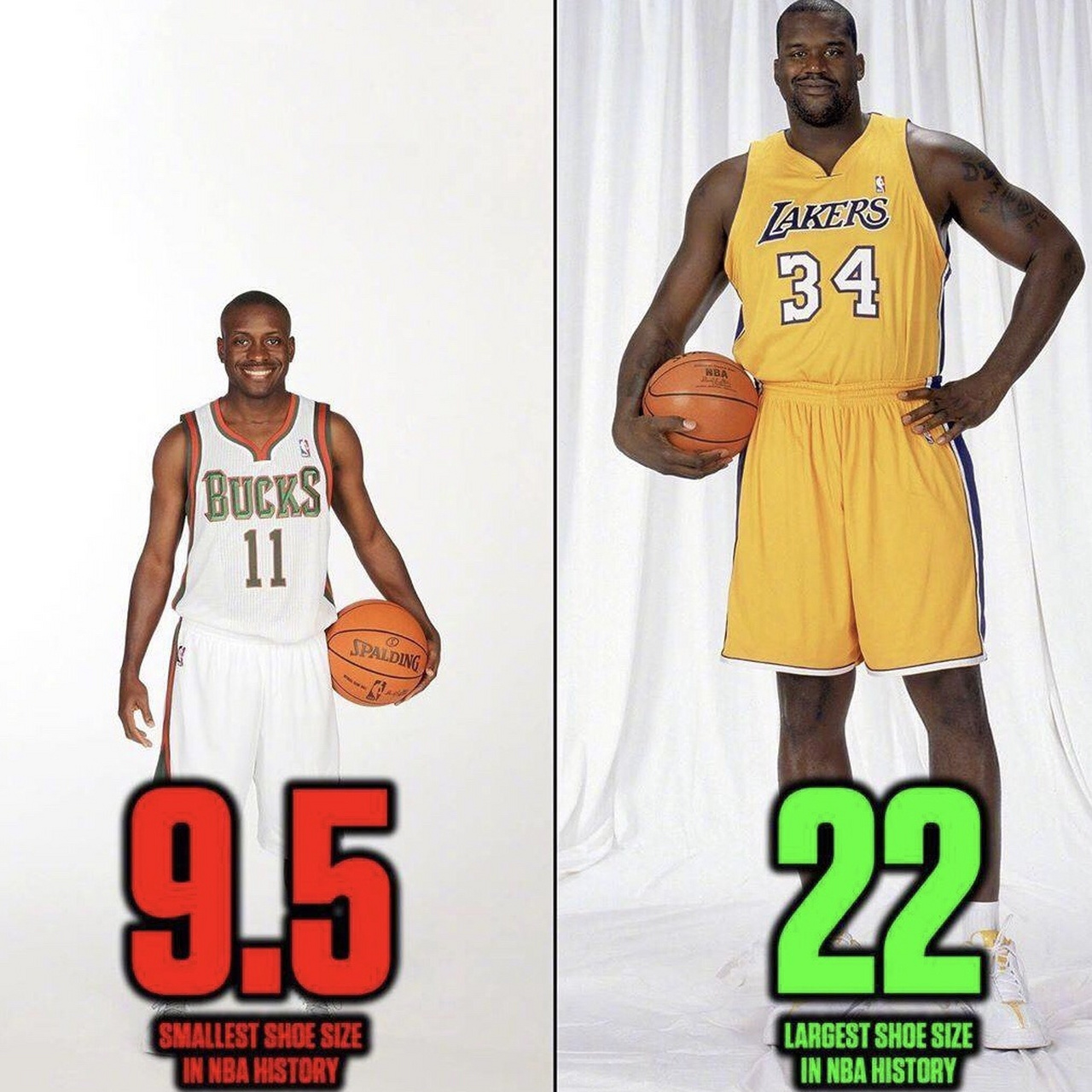 Boykins (Boykins and Boggs)